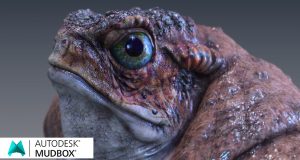 Autodesk Mudbox Tutorials . . .