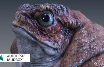 Autodesk Mudbox Tutorials . . .