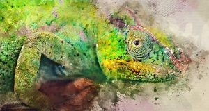 WaterColor Motion Kit . . .