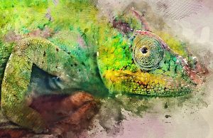 WaterColor Motion Kit . . .