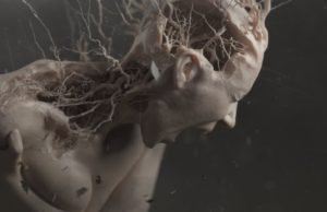 MUSE : Main Titles . . .