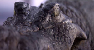 Substance VFX Showreel 2018 . . .