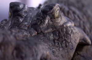 Substance VFX Showreel 2018 . . .