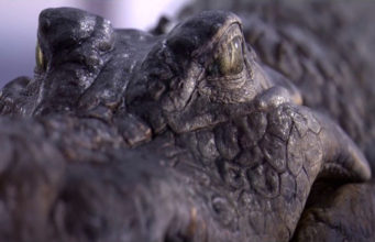 Substance VFX Showreel 2018 . . .