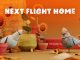 Next Flight Home . . .