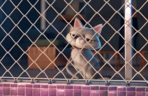 BRAVECTO “DAY OFF” . . .