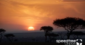 SpeedTree VFX Reel 2020 . . .