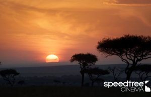 SpeedTree VFX Reel 2020 . . .