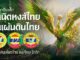 งานโฆษณา “กำเนิดหงส์ไทยในแผ่นดินไทย . . .”