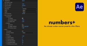 Creative Dojo Numbers+ . . .